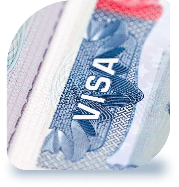 Reasons To Contact A Visa Attorney In Fort Worth